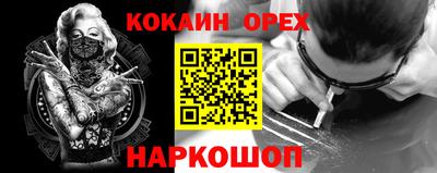 крисы Кулебаки
