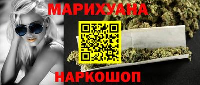 крисы Кулебаки