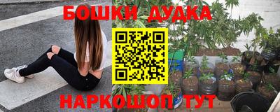 крисы Кулебаки