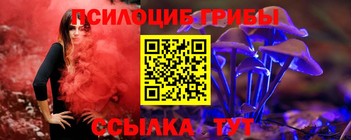 Елец  Псилоцибиновые грибы мухоморы  купить   Вход с VPN 